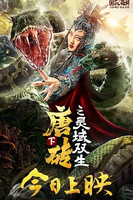 国产精品女人av