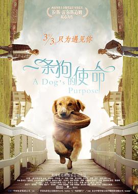 成年人深夜福利