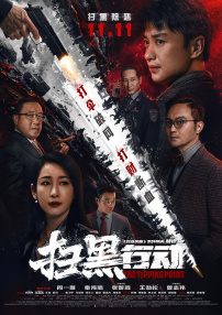 我年轻的嫂子