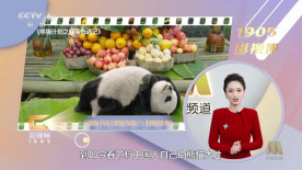 污污的网站免费观看